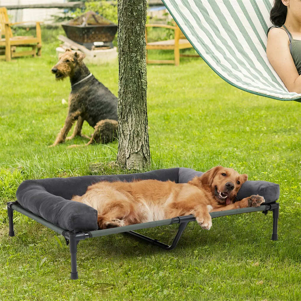 BINGOPAW Outdoor Dog Bed Eleva - Outdoor Camping Dog Bed review and price